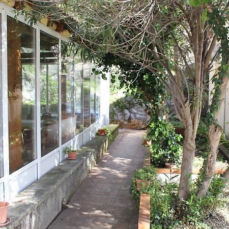 Guest House Katic Трпань Экстерьер фото